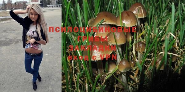 PSILOCYBIN Богородицк