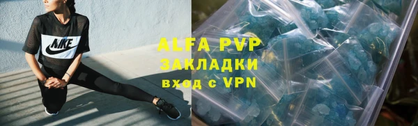 ПСИЛОЦИБИНОВЫЕ ГРИБЫ Богданович