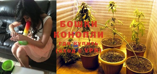 ПСИЛОЦИБИНОВЫЕ ГРИБЫ Богданович