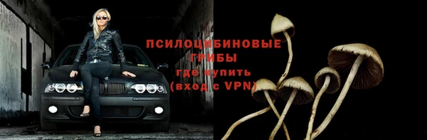 таблы Богородск