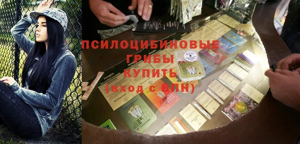 ПСИЛОЦИБИНОВЫЕ ГРИБЫ Богданович