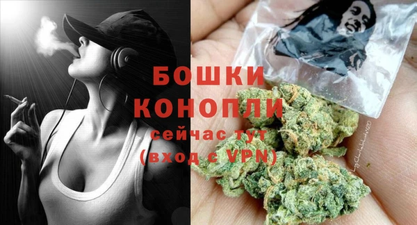ПСИЛОЦИБИНОВЫЕ ГРИБЫ Богданович