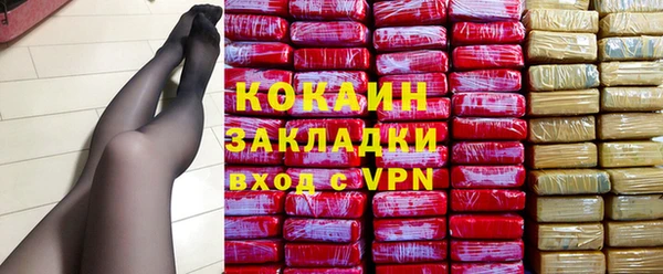 ПСИЛОЦИБИНОВЫЕ ГРИБЫ Богданович