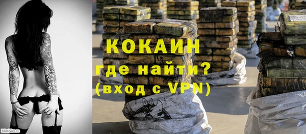 PSILOCYBIN Богородицк