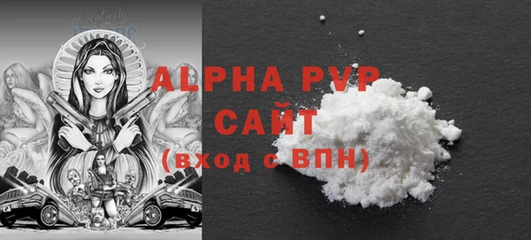 ПСИЛОЦИБИНОВЫЕ ГРИБЫ Богданович