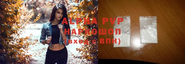 ПСИЛОЦИБИНОВЫЕ ГРИБЫ Богданович