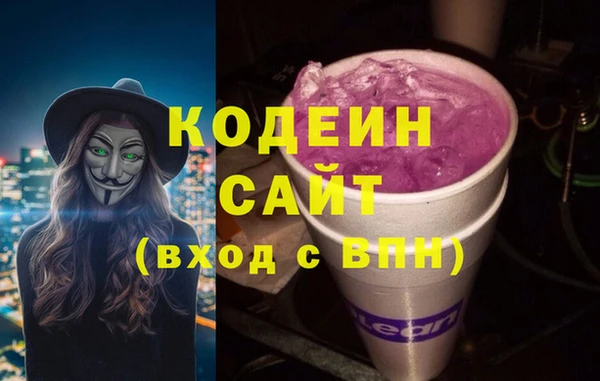 ПСИЛОЦИБИНОВЫЕ ГРИБЫ Богданович