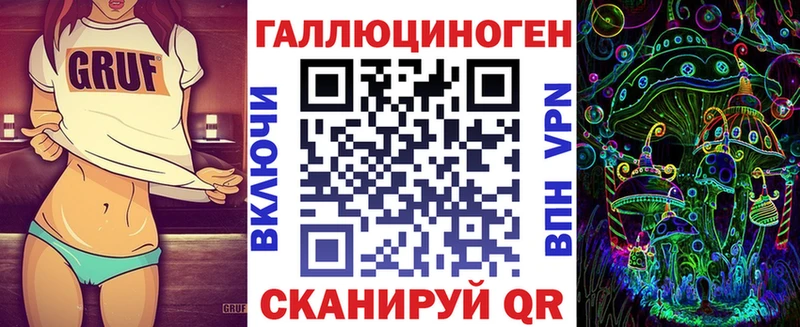 Псилоцибиновые грибы Psilocybe omg ссылки Тулун